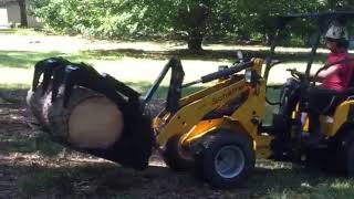 Tree Work With a Schaffer 2428 SLT Compact Wheel Loader [upl. by Eibreh]