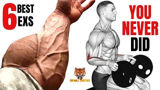 6 BEST Forearms That you Never did at Gym [upl. by Enimasaj]