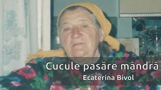 Ecaterina Bivol  Cucule pasare mandra cover romanian folk music [upl. by Lenssen]