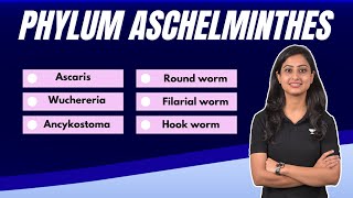 Phylum Aschelminthes  All examples  Learn in no time  Flash Learn [upl. by Carole861]