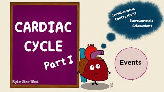 Cardiac Cycle  Events  Part 1  Cardiac Physiology [upl. by Nairadas]