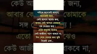 পৃথিবীর সবচেয়ে বড় হাতিয়ার চুপ থাকা islamicshortvideo nature waz tiger wazmahfil subscribe [upl. by Joyce307]