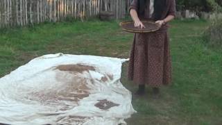 Winnowing Amaranth by hand winnowing basket tray Part 45 [upl. by Daron]