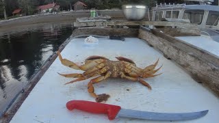 Quatsino Sound Salmon Fishing amp Crabbing Day 2  British Columbia [upl. by Brieta937]