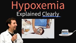 Hypoxemia Explained Clearly  Causes Physiology Hypoxia Treatment [upl. by Nadnal]