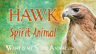 Hawk Spirit Animal  Hawk Totem amp Power Animal  Hawk Symbolism amp Meanings [upl. by Wettam222]