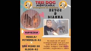 MOSELAPETRÓPOLISRJ x SÃO PEDRO DA ALDEIARJ  BRUCE amp DIANNA  taxidog taxidogmontanha [upl. by Nnyrat]