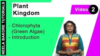 Plant Kingdom  NEET  Chlorophyta Green Algae  Introduction  Neela Bakore Tutorials [upl. by Relyt]