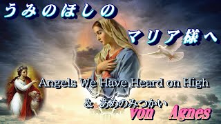 Angels We Have Heard High amp あめのみつかい [upl. by Robinia]