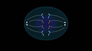 Ionization Energy  Basic Introduction [upl. by Adnawal]