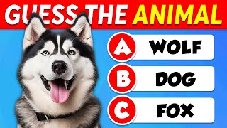 Guess 60 ANIMALS 🐶🐱 EASY to IMPOSSIBLE 🧠🤯 [upl. by Kassie]