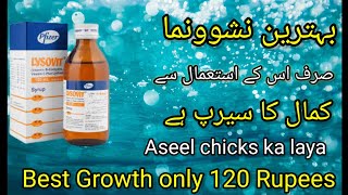 Lysovit syrup for hens  Lysovit syrup for chicks Best multivitamins for hens calcium in aseel [upl. by Ainival]