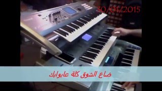 ياريتك لو تيجي يمي عزف الفنان سامر علو\\ yaritk Lo teje Gnbe [upl. by Norahs984]