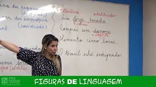 5  Figuras de Linguagem  Grasiela Cabral [upl. by Ehttam296]