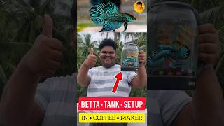 BETTA FISH 🐠 TANK SETUP IN COFFEE MAKER ☕ DIY  jeelanivlogger aquarium tanksetup [upl. by Noerb47]