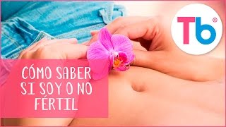 Cómo saber si soy fértil  Consejos para la fertilidad él y ella  Todobebé [upl. by Auqenaj874]