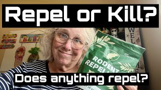 RODENT REPELLENT  Have I found a repellent that works [upl. by Cirtemed645]