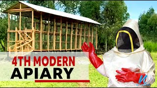 Inside the 4th Modern Apiary  Modern Bee Keeping [upl. by Gottfried]