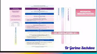 Nhs neonatal resuscitation protocol [upl. by Gereld687]