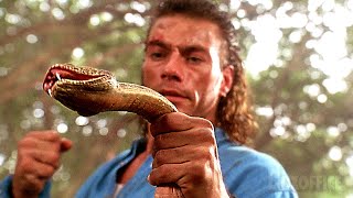 Jean Claude Van Damme golpea a una serpiente  Hard Target  Clip en Español [upl. by Kcerb]