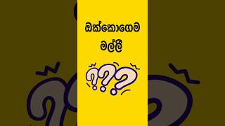 තේරවිලි තෝරමු ☺️ [upl. by Rosana]