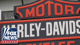 Is HarleyDavidson going woke [upl. by Anauqaj212]