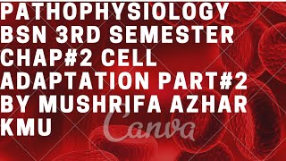 pathophysiology BSN 3rd semester chap2 Cell Adaptation part2 by Mushrifa Azhar kmu [upl. by Nicolais]