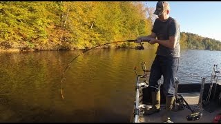 How to catch flathead catfish [upl. by Ysset]