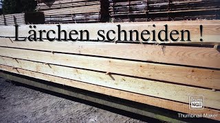 Das Besondere am Lärchen sägen  Einteilen Gattereinhang Sägewerk [upl. by Audrit623]