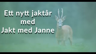 Jakt med Janne  Ett nytt jaktår har börjat  Jakt efter vildsvin kronvilt och rådjur [upl. by Silas]