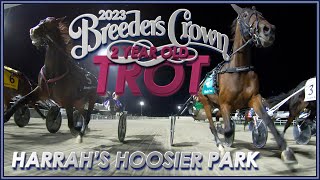 2023 Breeders Crown  Warrawee Michelle  2FT [upl. by Croom989]