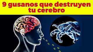 9 parásitos que destruyen tu cerebro [upl. by Atimad]