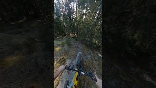 Chunky Slabs mtb [upl. by Notsae]