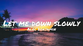 Alec benjamin  let me down slowly [upl. by Falconer161]