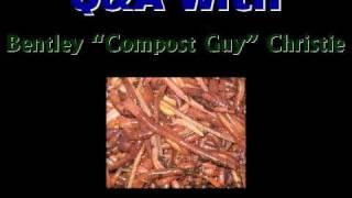 Composting Worms in Raised Beds [upl. by Ahsilra]