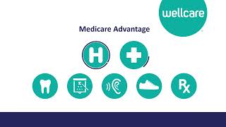 2023 WellCare Medicare advantage Sales Video English [upl. by Rexanne]