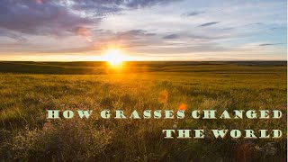 How Grasses Changed the World [upl. by Quartet]