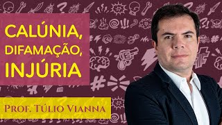 Calúnia Difamação e Injúria  Crimes Contra a Honra  Prof Túlio Vianna Direito Penal  UFMG [upl. by Nedac]