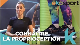 Tutoriel Proprioception  Exercices proprioception chevilles [upl. by Pineda]