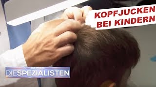 Permanentes Kopfjucken  Läusebefall  Auf Streife  Die Spezialisten  SAT1 TV [upl. by Fair]