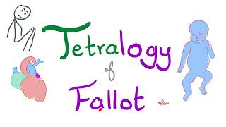 Tetralogy of Fallot TOF  Cyanotic Congenital Heart Disease CHD  Cardiology 🫀 [upl. by Avi]