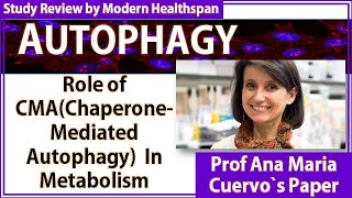 AUTOPHAGY  Role of Chaperone Mediated Autophagy In Cell Metabolism  Study Review [upl. by Floeter]