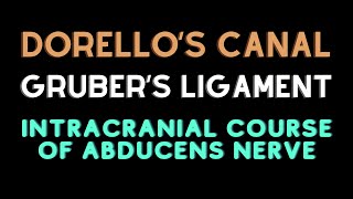 Intracranial course of abducent nerve Dorellos canal Grubers ligament [upl. by Anilas]