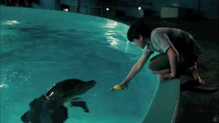 Dolphin Tale HD Music Video  quotSafequot by Westlife [upl. by Annyrb]