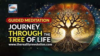 Guided Meditation  Journey Through The Tree Of Life [upl. by Aved992]