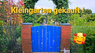 Ich habe einen Schrebergarten gekauft Führung durch meinen Kleingarten es gibt viel zu tun Garten [upl. by Wulfe]