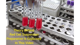 Theory Behind Red Blood Cells Suspension Preparation and Procedure [upl. by Zetrac]