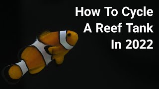 How To Cycle A Saltwater Aquarium In 2022  Quickly And Properly [upl. by Lissak]