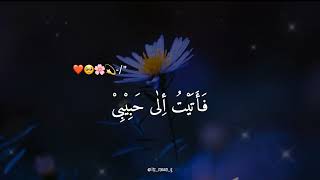 Raqqat Aina Ya Shoqan Assalamu Alayka Ya Rasool Allah SAW Lyrics Video [upl. by Esineg]