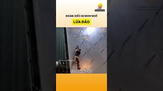 Đoàn xiếc bị nghi ngờ lừa đảo [upl. by Nylevol828]